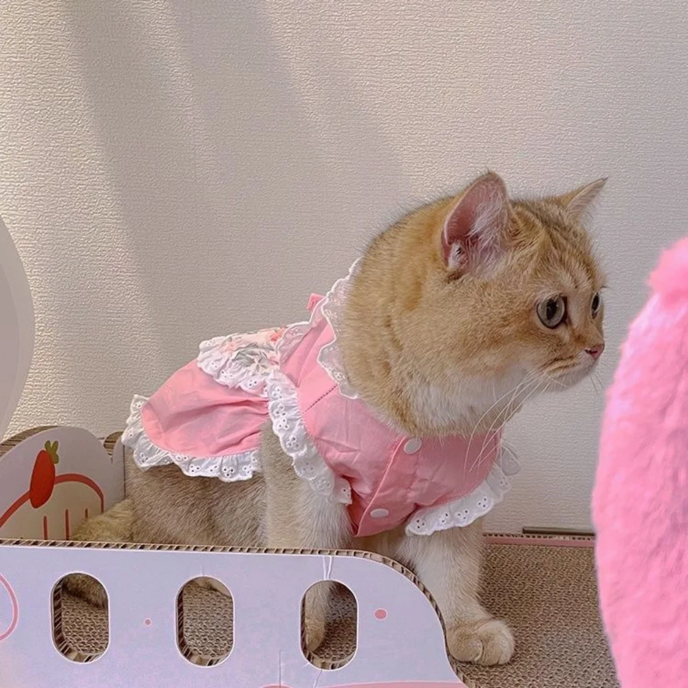 Pet Cute Apron Dress Lace Flor - Lace Teddy Lingerie ulasan dan harga